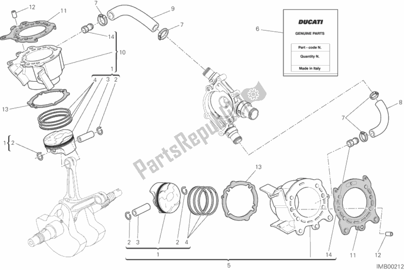 All parts for the Cylinders - Pistons of the Ducati Monster 821 Thailand 2020